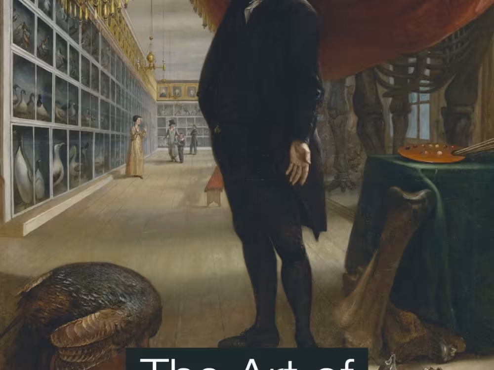 The Art of Spatial Illusion