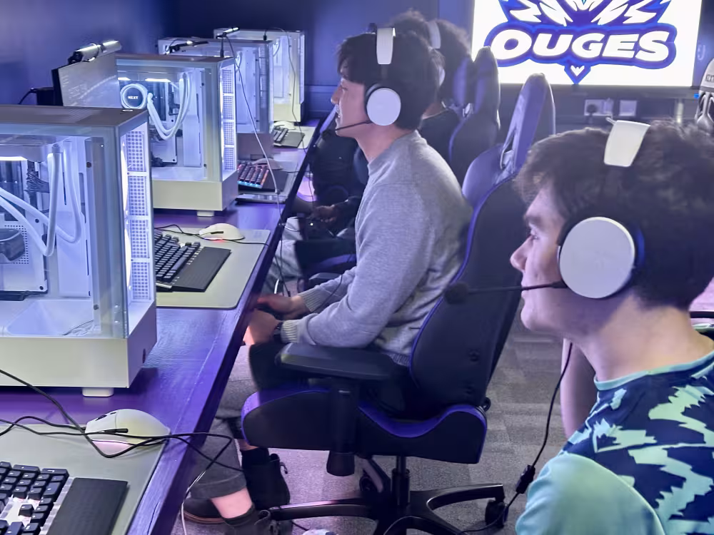 Gamers playing on their desktops